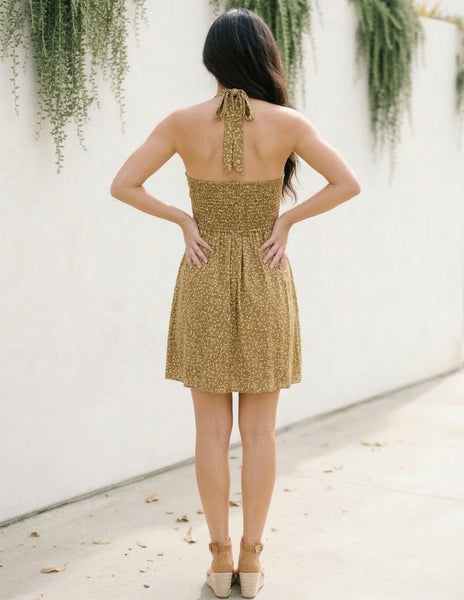 georgia mini dress Ramy Brook Georgia Cotton Poplin Short Sleeve Mini Dress in Amber