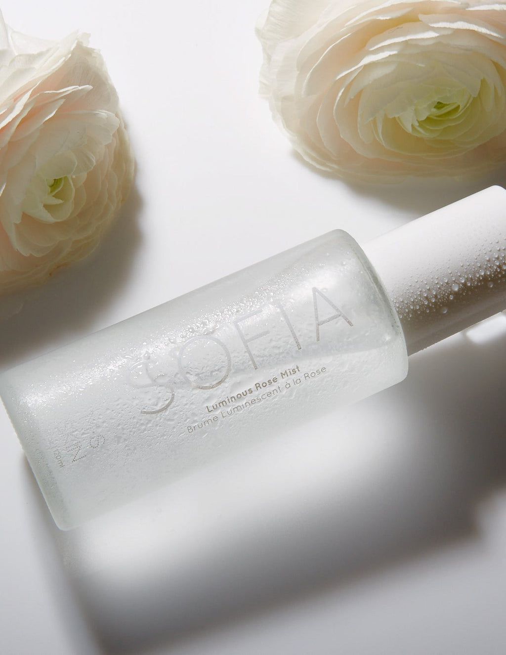 SOFIA | Luminous Rose Mist