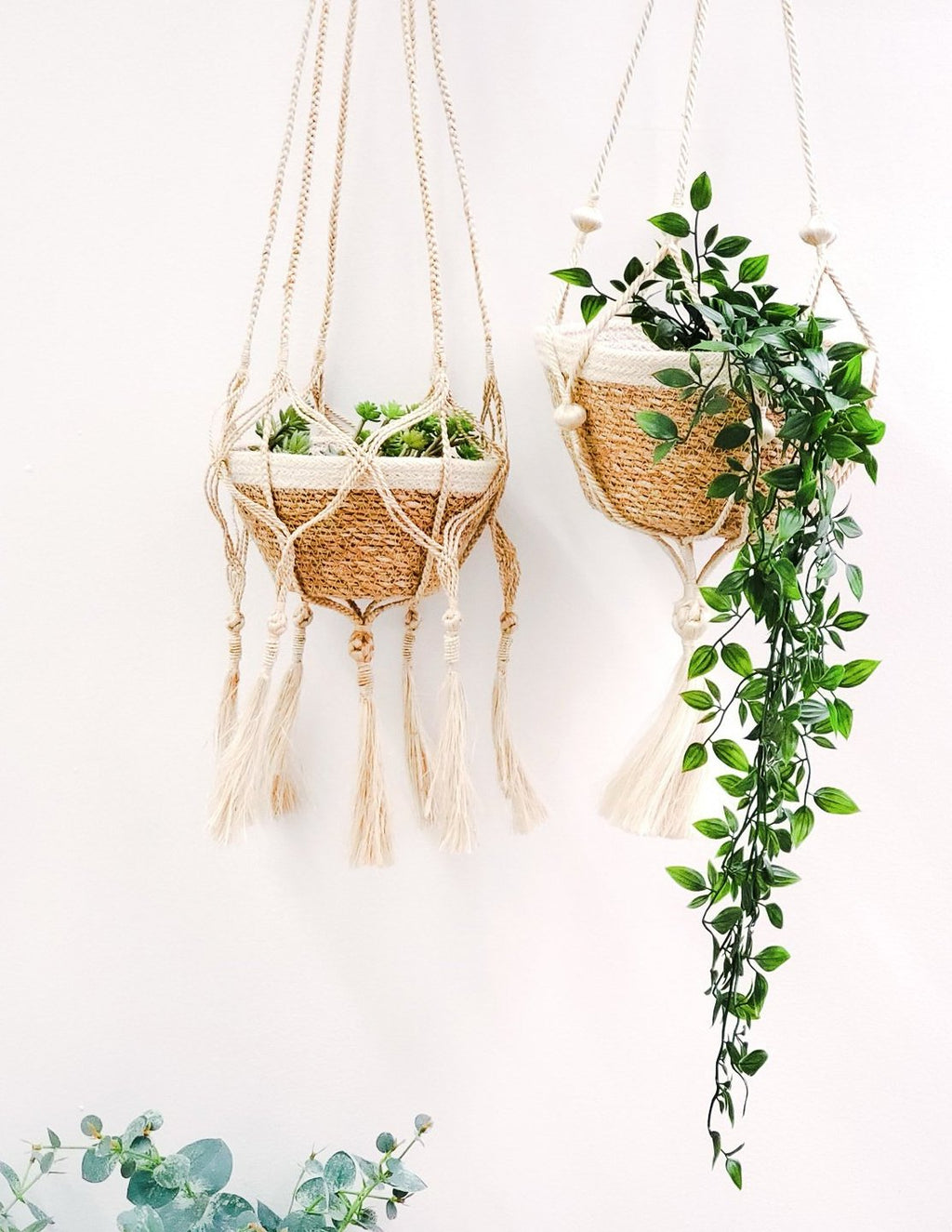 Bitan Plant Hanger (Set of 2)