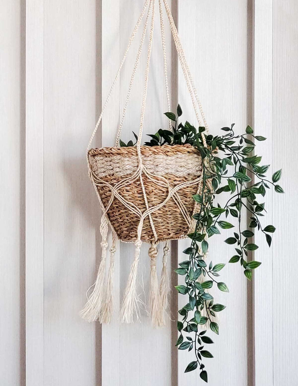 Bitan Plant Hanger (Set of 2)