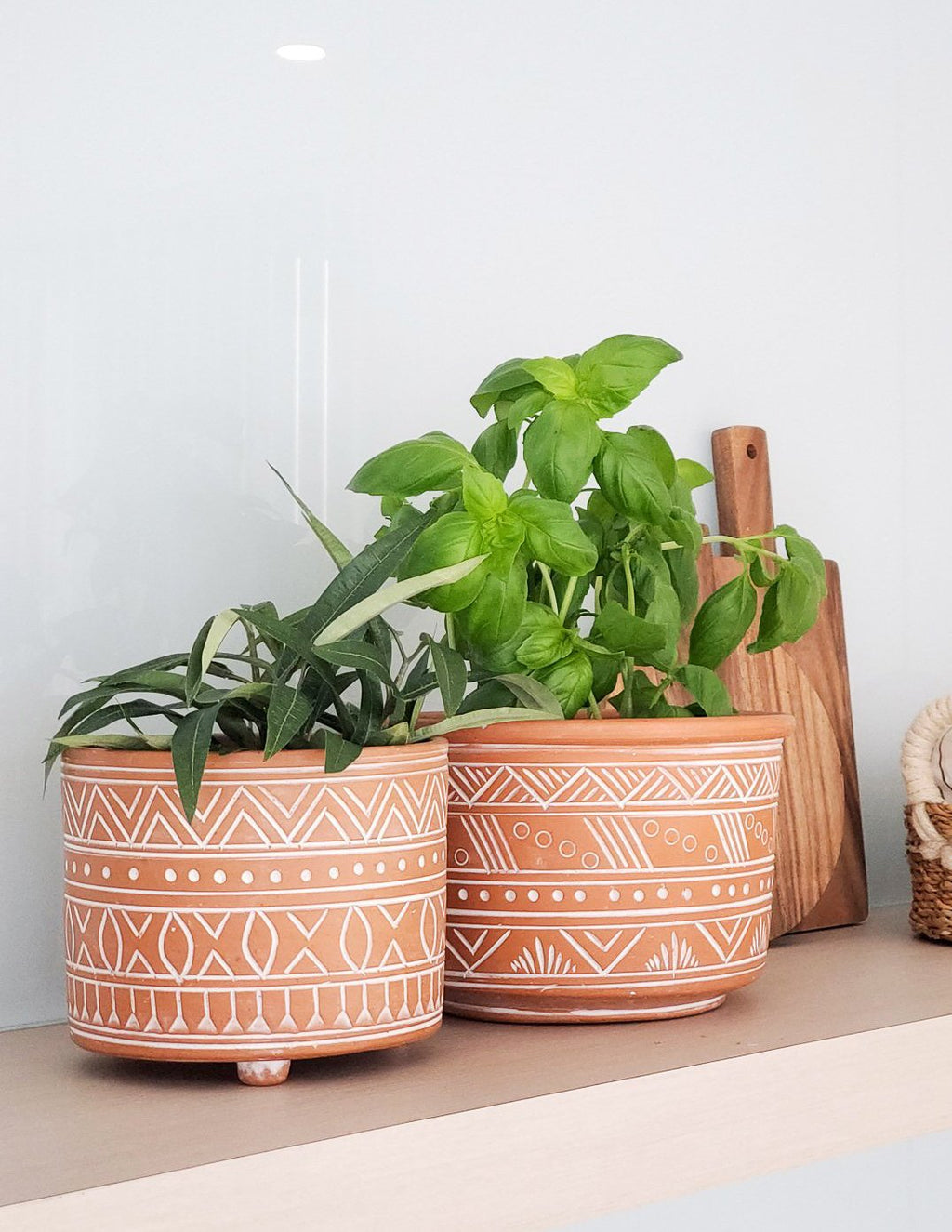 Large Hand Etched Terracotta Pot