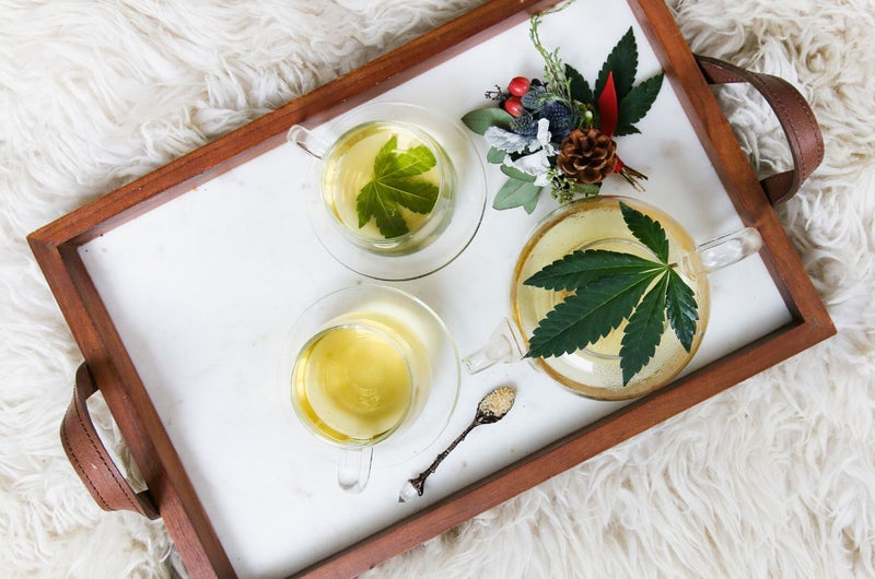 All You Need to Know About CBD Oil