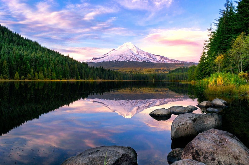 The Best US National Parks to Add to Your Next Road Trip