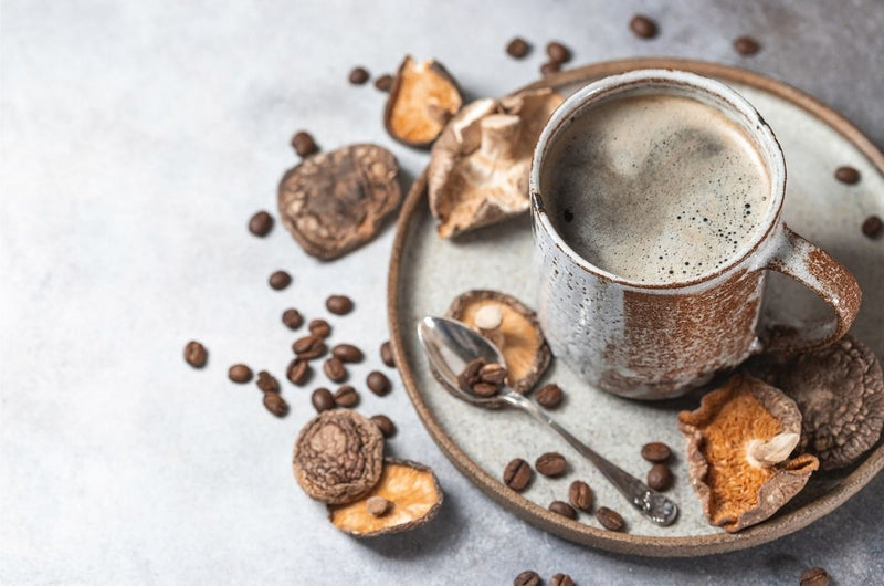 Fad or Fab? All You Need to Know About Mushroom Coffee