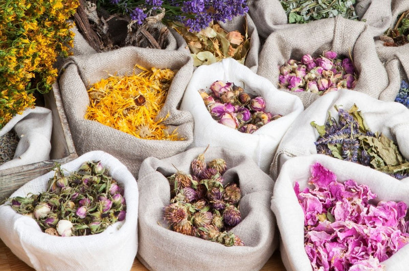 9 Calming Herbs For Anxiety, According To An Expert